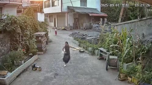 女子遇蛇双方同时被吓到扭头就跑