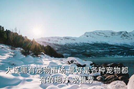 大连哪有宠物市场 最好是各种宠物都有的地方 求推荐