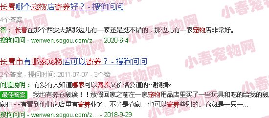 长春宠物寄养哪家好