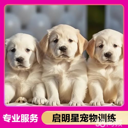 店主头像