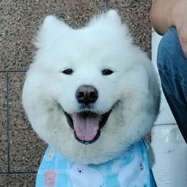 店主头像