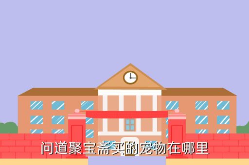 问道聚宝斋买的宠物在哪里