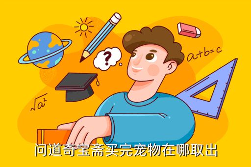 问道奇宝斋买完宠物在哪取出
