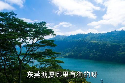 东莞塘厦哪里有狗的呀
