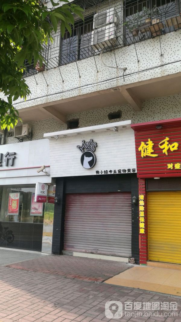 狗小姐专业宠物美容