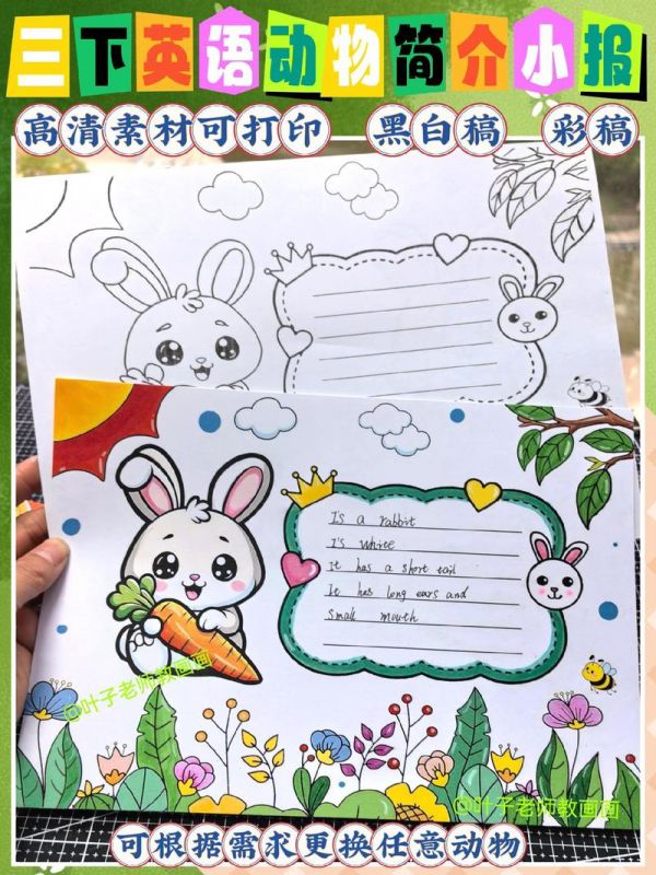 英语小报手抄报