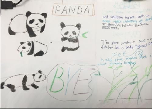 有关熊猫的英文手抄报 身边的英语手抄报