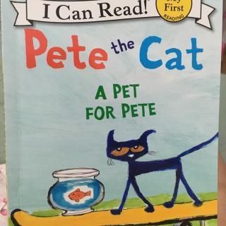 a pet for pete手抄报 word手抄报