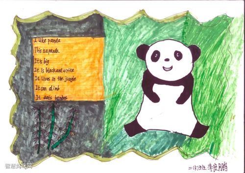 i like animals主题英语手抄报-图1i like animals主题英语手抄报