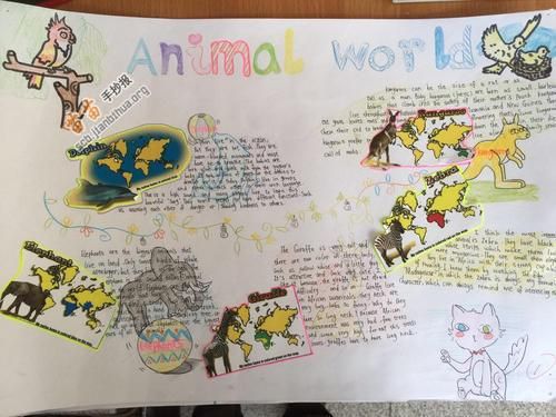 my favorite animals英语手抄报 英语手抄报-蒲城教育文学网