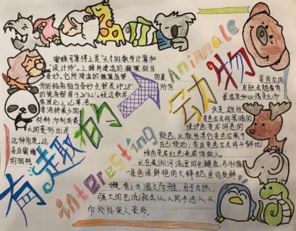 以动物园为主题手抄报爱为主题的手抄报