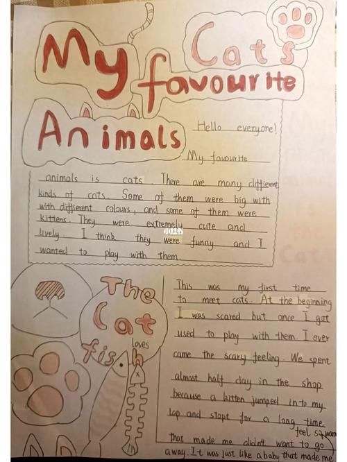 myfavoriteanimalcat手抄报