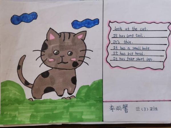 robbercat英语手抄报英语英语手抄报