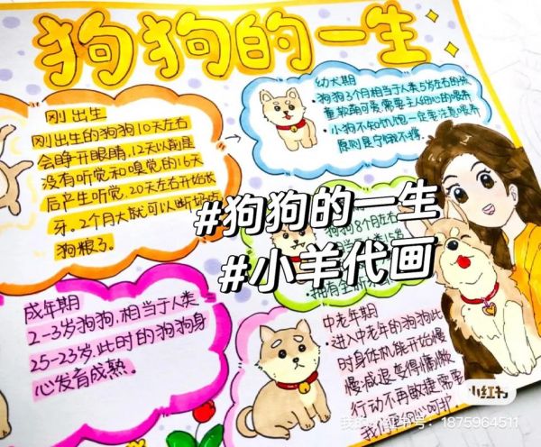 狗狗的一生.原创作品 狗狗的一生手抄报动物生长笔记 手抄 - 抖音