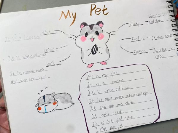 小学生手抄报 国庆节图画 英语宠物思维手抄报 - 抖音