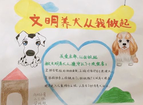 从我做起手抄报展示活动