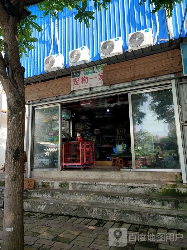 宠物一家