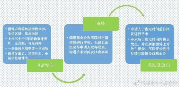 申请微博内容要求