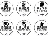 重庆纯种博美 步伐轻快 体型小巧的萌宠博美 女神特爱