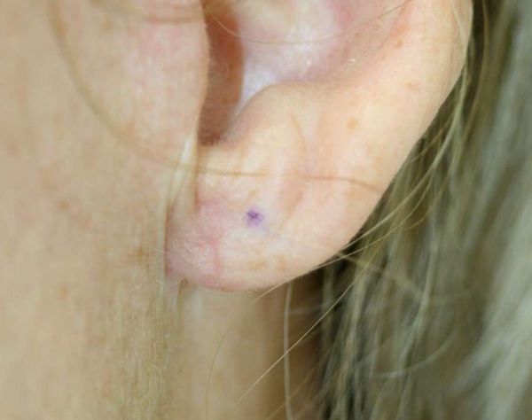 Picture2 cropped.jpg