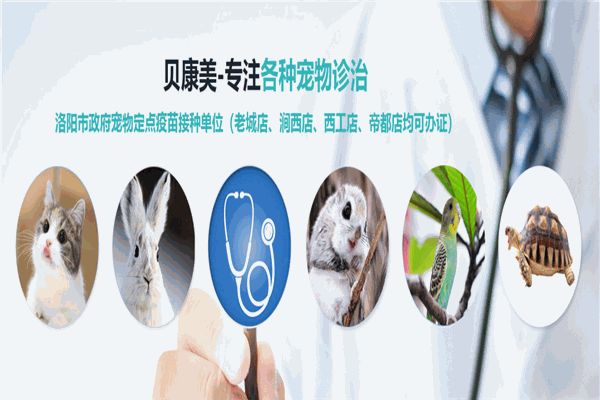 康美宠物医院