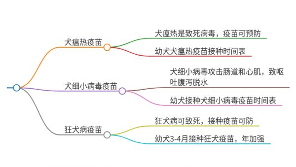 狗狗必打的三针疫苗有哪些呢