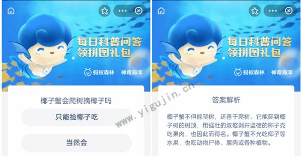 椰子蟹会爬树摘椰子吗？什么是椰子蟹？ - 第1张 - 伊古今(www.yigujin.cn)