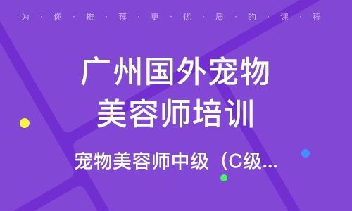 重庆宠物培训学校怎么选？国内宠物培训机构排名一览表
