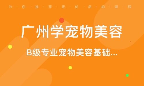 重庆宠物培训学校怎么选？国内宠物培训机构排名一览表