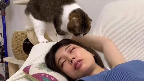猫咪叫主人起床，不料主人故意装睡，猫咪的动作让她哭笑不得