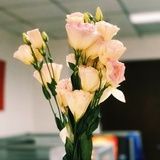 是NANA啊