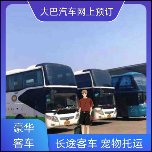淮安到玉溪长途客车(豪华大巴电动车 托运宠物)
