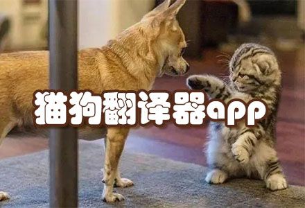 猫狗翻译器app