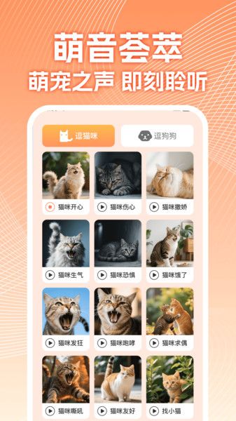 智能宠物翻译器