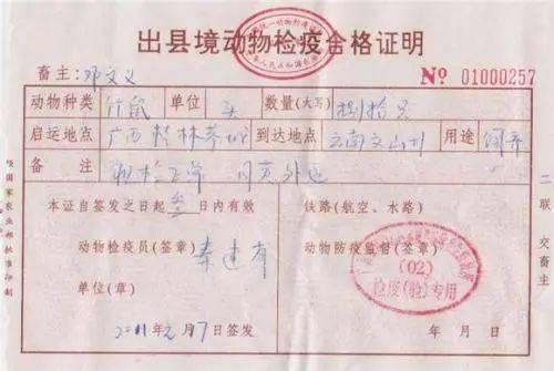 如何邮寄宠物？国内宠物邮寄指南