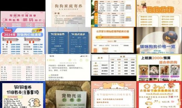 苏州宠物店寄养狗狗多少钱一天