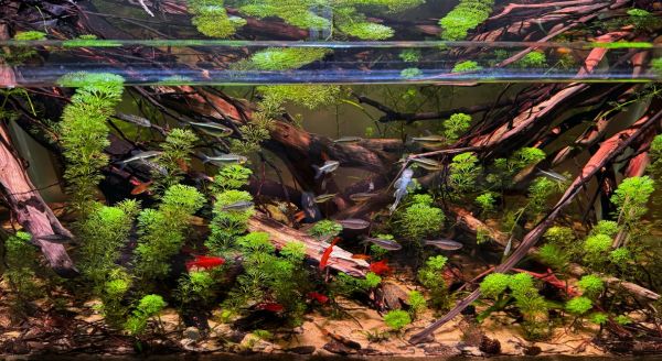 水族箱内部结构图