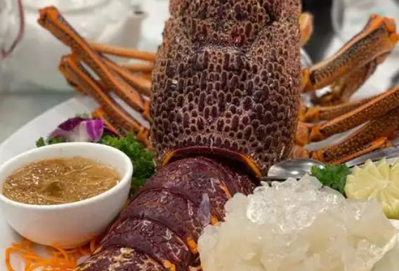 澳洲淡水龙虾怎么养