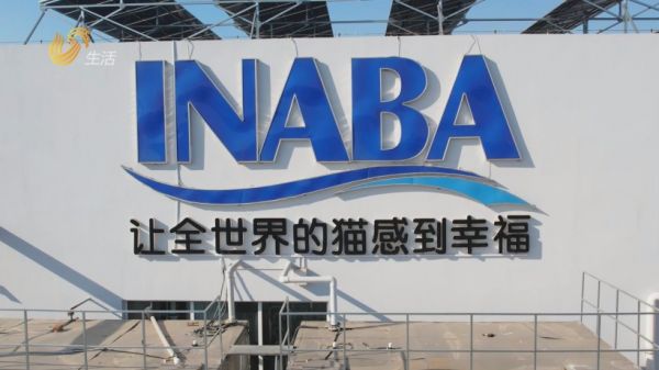 青岛稻进食品匠心制食，守护宠物幸福成长(图1)