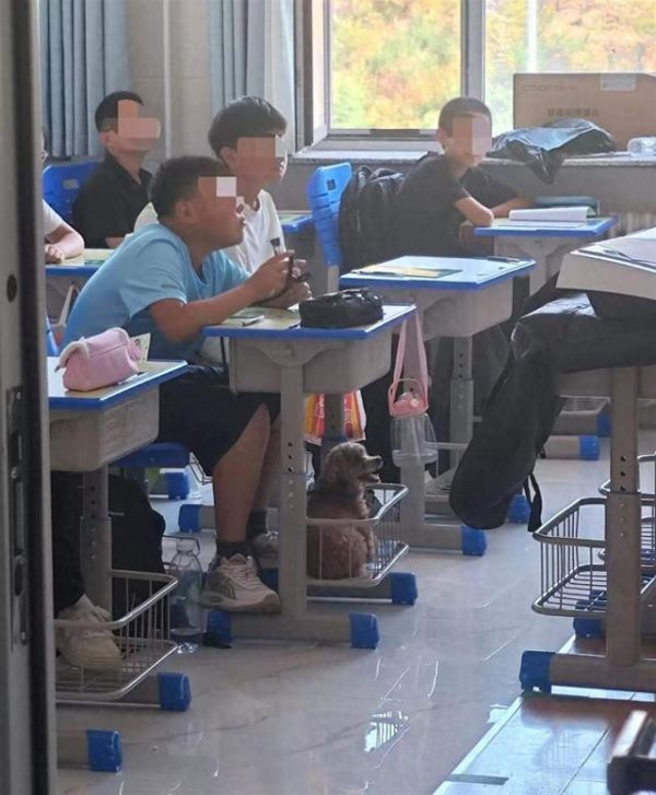视频截图