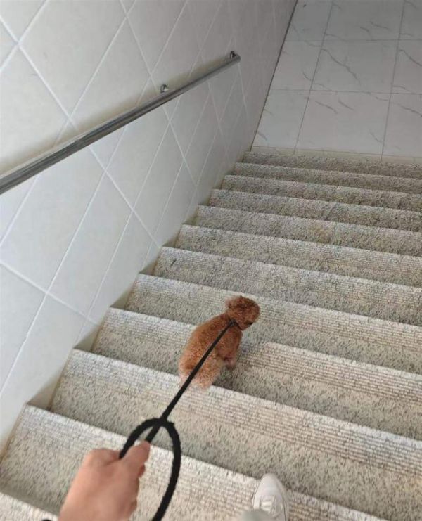 视频截图