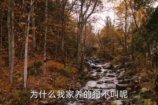 为什么我家养的狗不叫呢