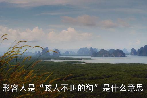 形容人是“咬人不叫的狗”是什么意思
