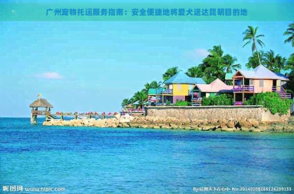 广州宠物托运服务指南：安全便捷地将爱犬送达昆明目的地