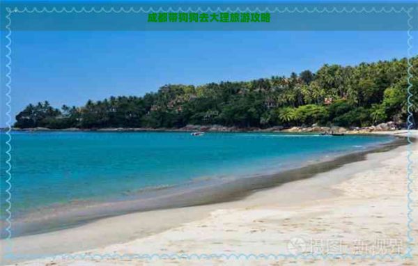 成都带狗狗去大理旅游攻略