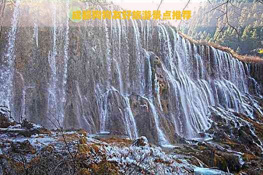 成都狗狗友好旅游景点推荐