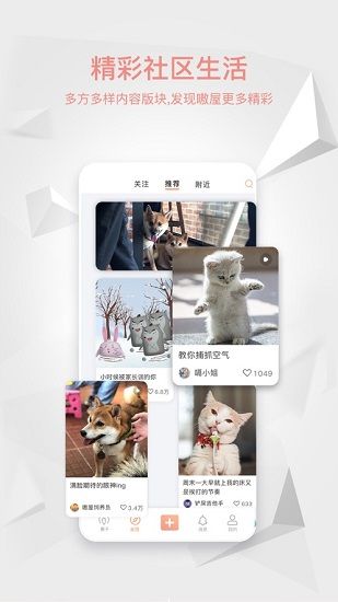 嗷屋宠物生活馆 v1.1.0 安卓版 3