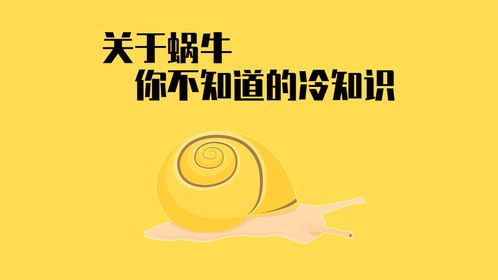 关于蜗牛那些你不知道的冷知识
