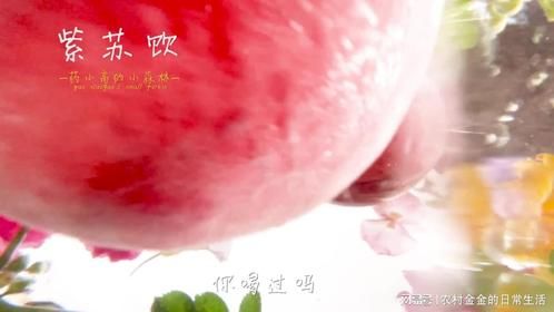 小毛桃贴脸给大家 送一碗神奇解暑饮品 风靡宋代的紫苏饮