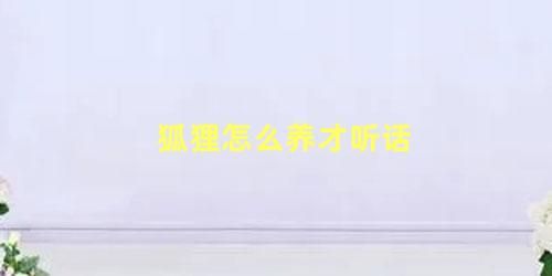 狐狸怎么养才听话